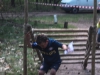 bosrun-28