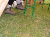 dsc0541