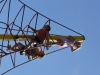 DSC09893