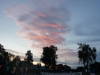 DSC09539