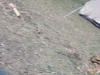 dsc01596