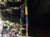DSC8948