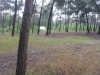 20140510_155519